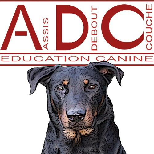 adc.education.canine